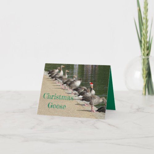 Funny Merry Christmas Goose Greeting Card