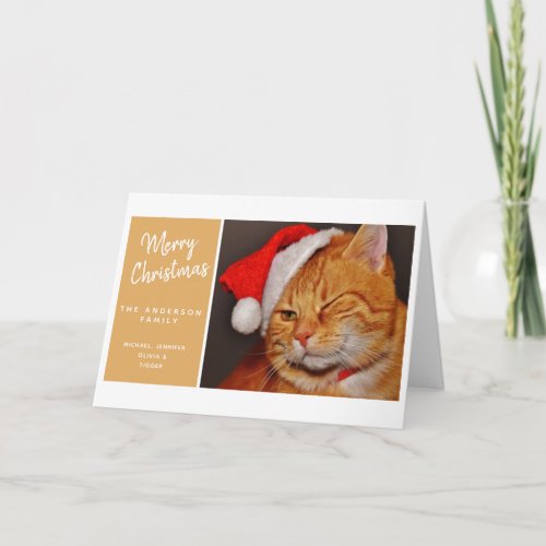 Funny Merry Christmas Orange Cat with Santa Hat Holiday Card