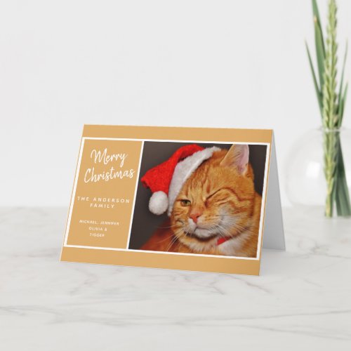 Funny Merry Christmas Orange Cat with Santa Hat Holiday Card