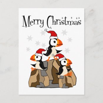Funny Merry Christmas Puffin Birds And Snow Postcard by ChristmasSmiles at Zazzle