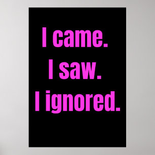 Funny Minimalist Quote - I Came I Saw I Ignored Poster