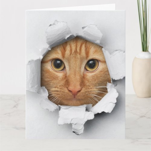 Funny Mischievous Cute Ginger Cat Card