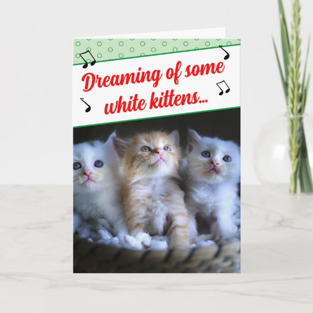 Funny Misheard Song Lyrics White Kittens Photo  Holiday Card (Front)
