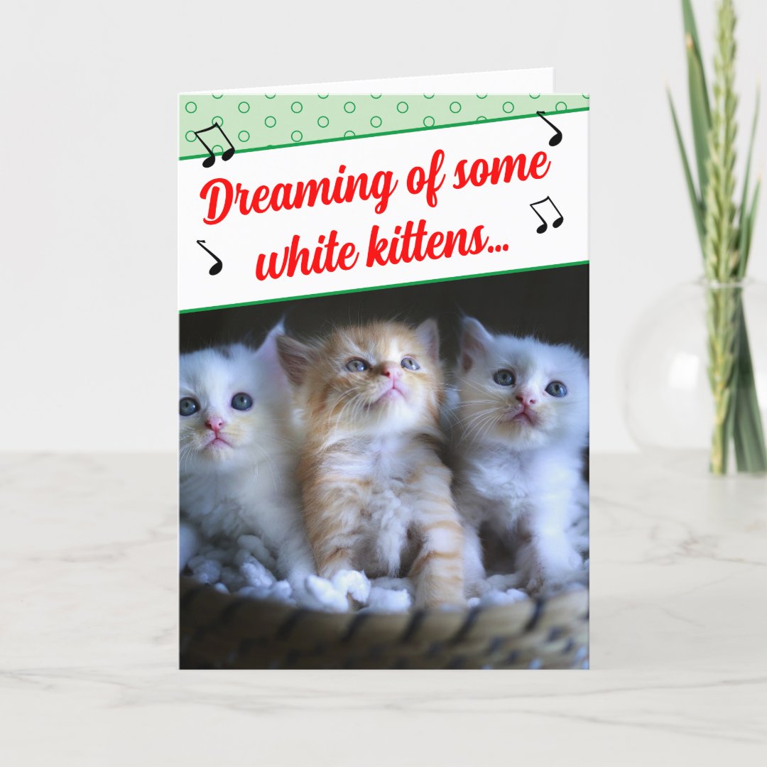 Funny Misheard Song Lyrics White Kittens Holiday Card