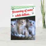 Funny Misheard Song Lyrics White Kittens Photo  Holiday Card