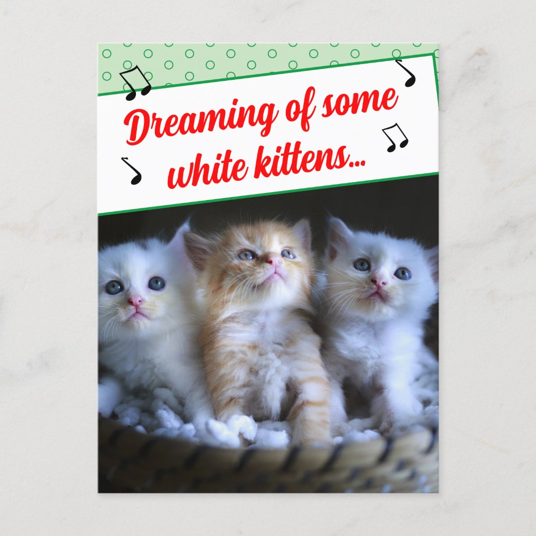 Funny Misheard Song Lyrics White Kittens Holiday Postcard