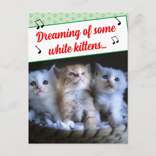 Funny Misheard Song Lyrics White Kittens Photo Holiday Postcard (Front)