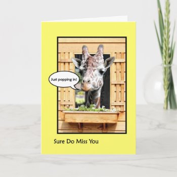 Funny Missing You  Cute Giraffe Through Window Card by PhotographyTKDesigns at Zazzle