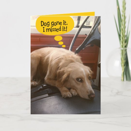 Funny Mixed Breed Dog Belated Birthday Card | Zazzle.com