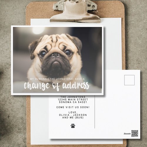 Funny Modern Change of Address Pet Dog Photo  Postcard