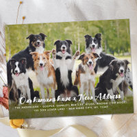 Funny Modern New Address Custom Pet Dog Photo