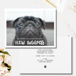 Funny Modern New Address Pet Dog Photo Invitation