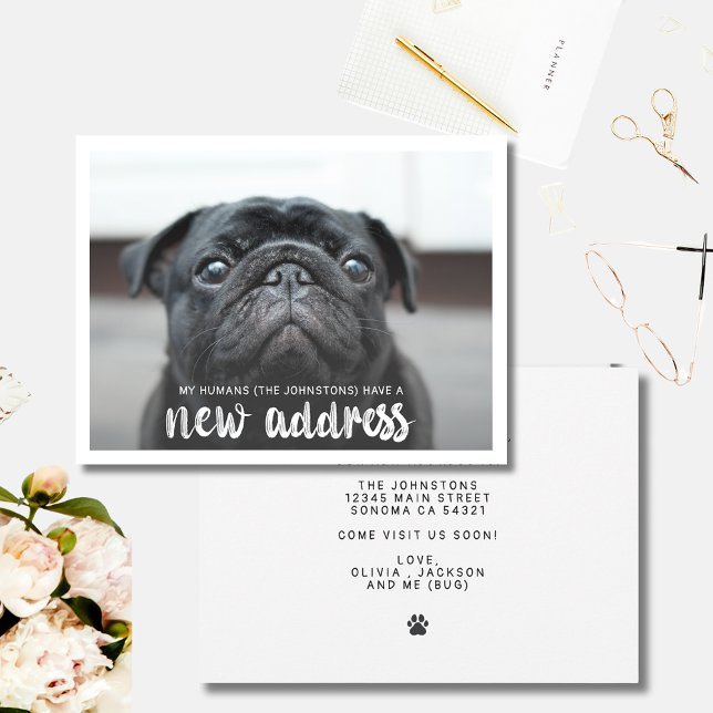 Funny Modern New Address Pet Dog Photo  Note Card (Creator Uploaded)