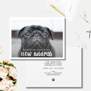 Funny Modern New Address Pet Dog Photo Note Card