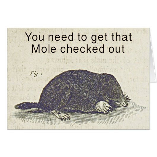 Funny Mole Greetings Card, Animal Birthday Humor (Front Horizontal)