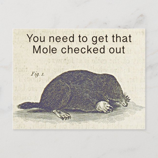 Funny Mole Greetings Card, Animal Birthday Humor Postcard (Front)