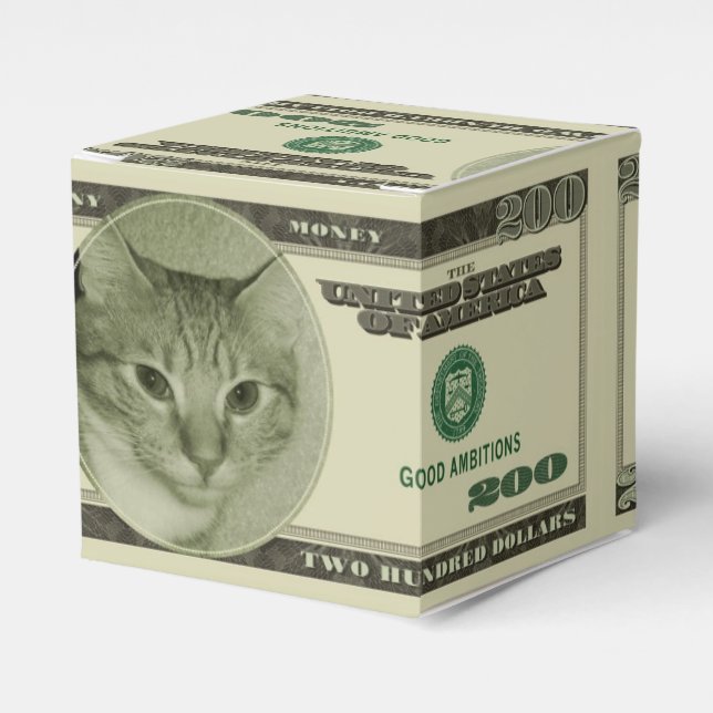 Funny Money Favor Boxes (Front Side)