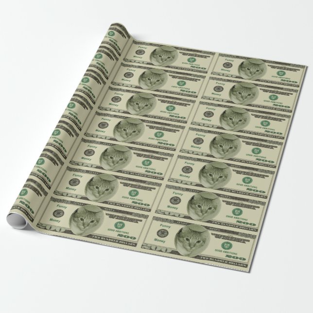 Funny Money Wrapping Paper (Unrolled)