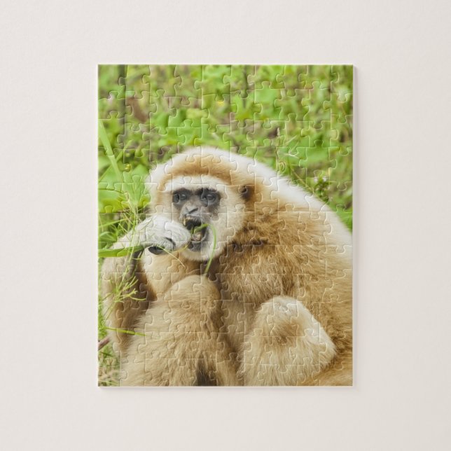 Funny Monkey Animal Jigsaw Puzzle (Vertical)