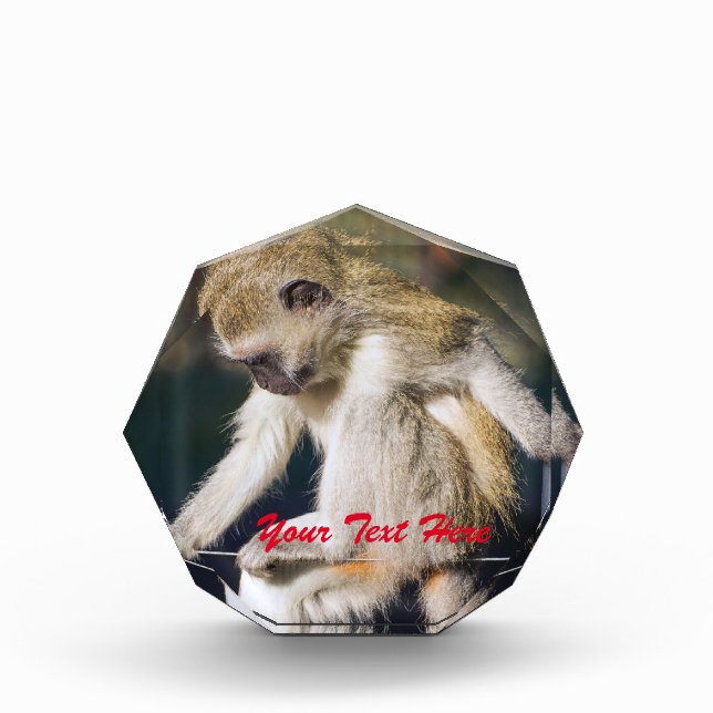 Funny Monkey Award (Front)