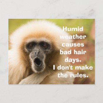Funny Monkey Bad Hair Day Postcard by DippyDoodle at Zazzle