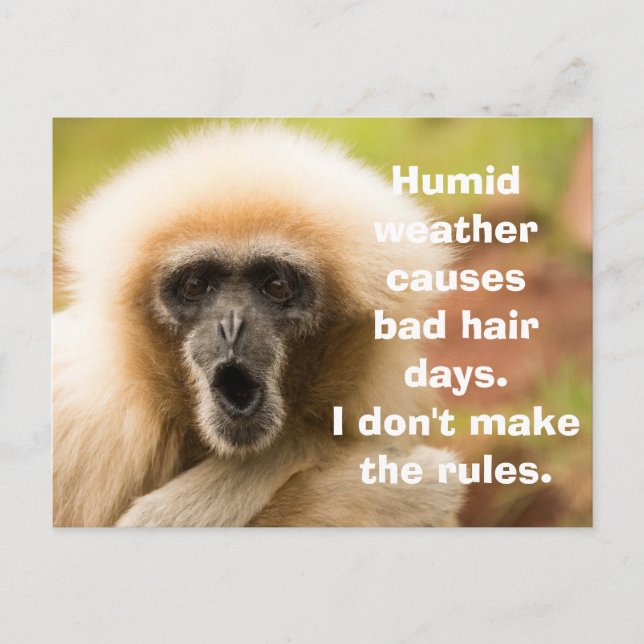 Funny Monkey Bad Hair Day Postcard (Front)