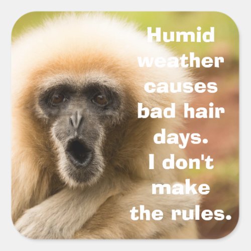 Funny Monkey Bad Hair Day Square Sticker