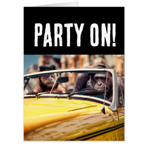 FUNNY MONKEY BIRTHDAY BIGGEST BIG GIANT CARD