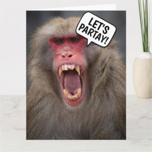 FUNNY MONKEY BIRTHDAY GREETING CARD