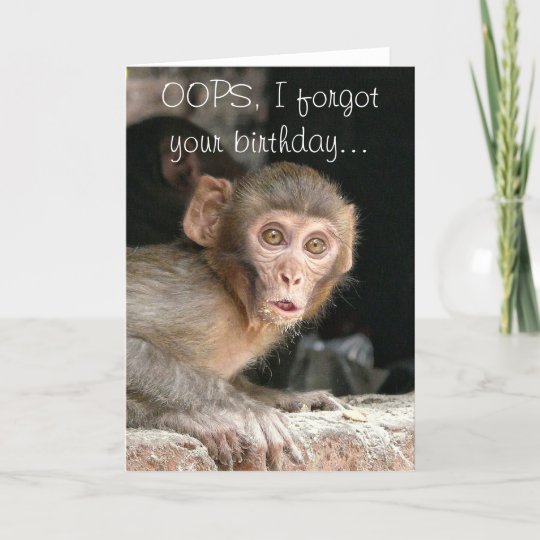 Funny monkey birthday greeting card | Zazzle.com