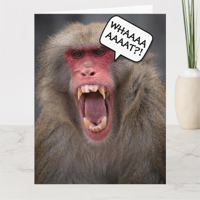 FUNNY MONKEY getting older  BIRTHDAY GREETING CARD (Front)