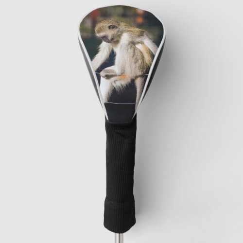 Funny monkey golf head cover