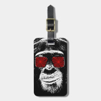 Funny monkey