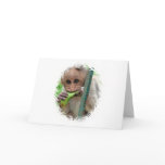 Funny Monkey Picture Greeting Card
