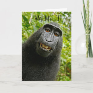 Funny Monkey Selfie Mother's Day Card