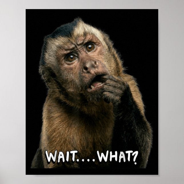 Funny monkey slang quote wait what meme cute poster (Front)
