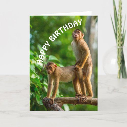 Funny Monkeys Happy Birthday Dirty Mind Card