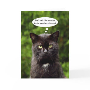 Funny Moody Black Cat birthday card