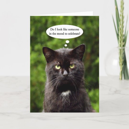Funny Moody Black Cat Birthday Card Zazzle Com