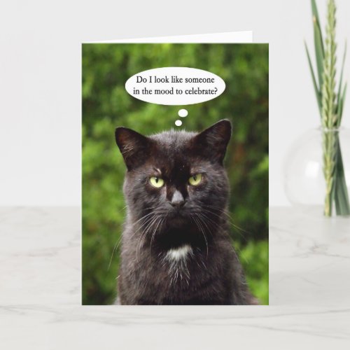 Funny Moody Black Cat birthday card