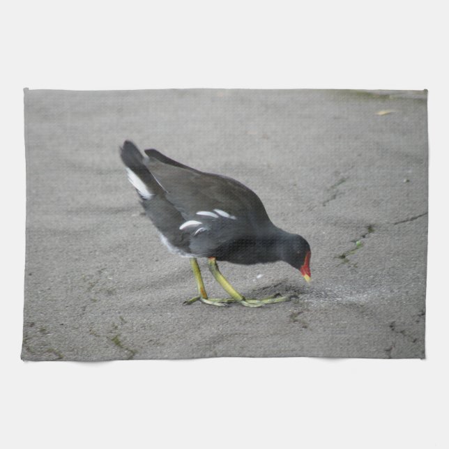 Funny Moorhen Take a Bow Kitchen Towel (Horizontal)