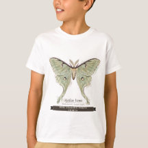 Funny Moth for Kids "Brb Chasing Porch Lights"