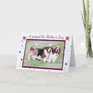 Funny "Mother's Day" Card w/Basset Hounds & Stars