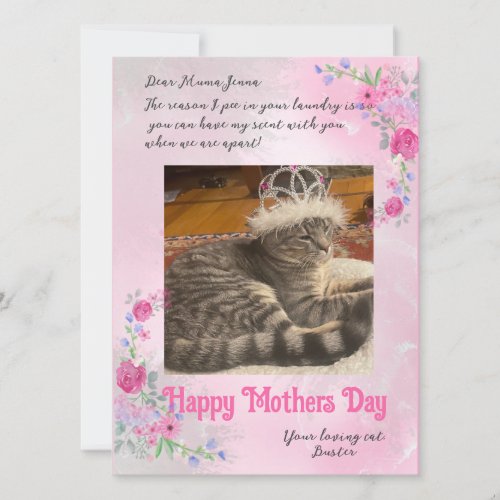 Funny Mothers Day Love From Bad Cat Photo Card