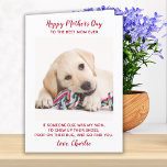 Funny Mothers Day Personalized Dog Mom Pet Photo Holiday Card<br><div class="desc">Happy Mother's Day the the best dog mom ever ! Give Mom a cute and funny personalized pet photo card from her best friend. "Happy Mother's's Day to the Best Mom Ever ~ If someone else was my mom, I’d chew up their shoes, poop on their rug, and go find...</div>