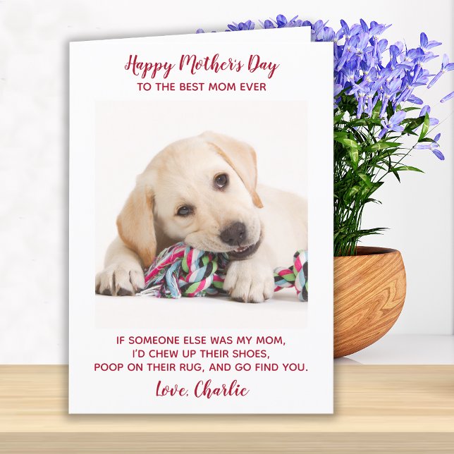Funny Mothers Day Personalized Dog Mom Pet Photo Holiday Card (Creator Uploaded)