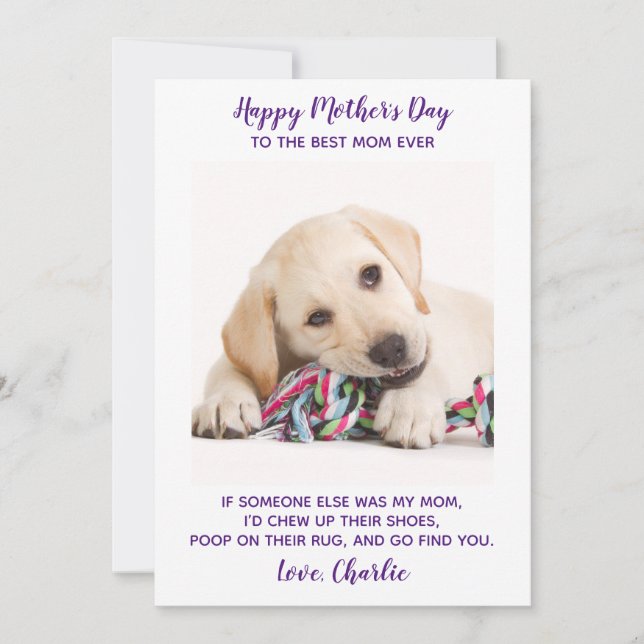 Funny Mothers Day Personalized Pet Photo Dog Mom  Holiday Card (Front)
