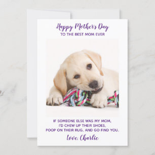 Funny Mothers Day Personalized Pet Photo Dog Mom Holiday Card
