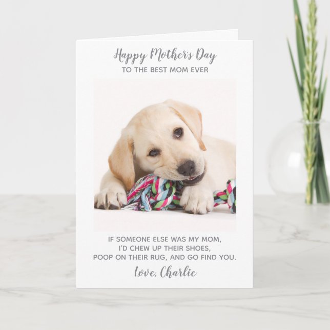 Funny Mothers Day Personalized Pet Photo Dog Mom  Holiday Card (Front)