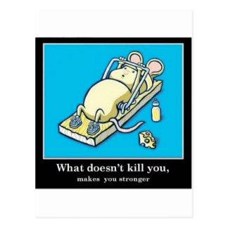 Funny Mouse Product Postcard